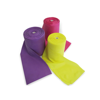 Bande Élastique Hydrodynamique